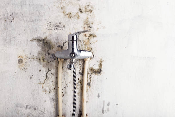 Mold Removal and Inspection in Gardiner, ME