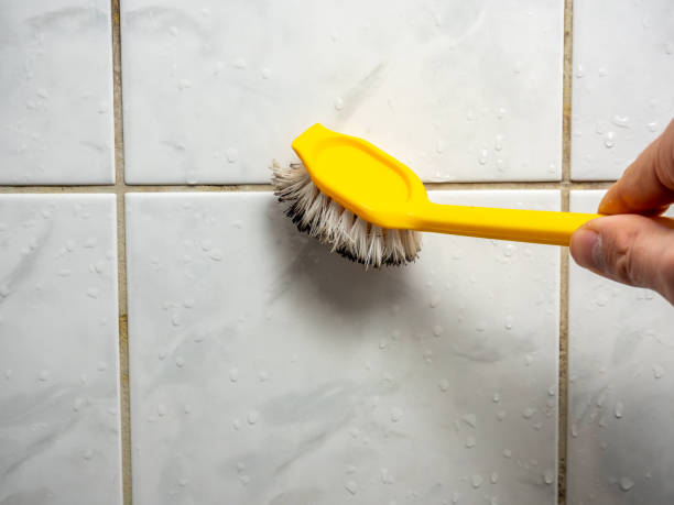 Best Commercial Mold Removal  in Gardiner, ME