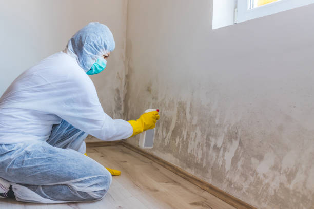 Best Crawl Space Mold Removal  in Gardiner, ME