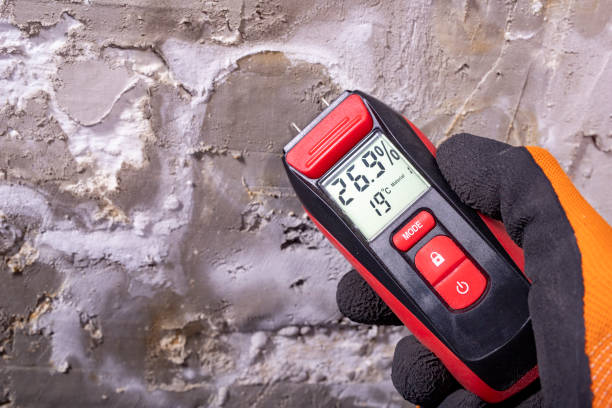 Best Toxic Mold Removal  in Gardiner, ME