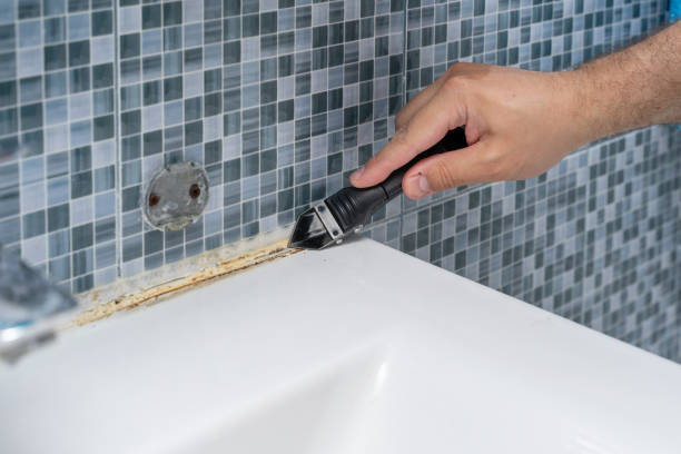 Best Black Mold Removal  in Gardiner, ME