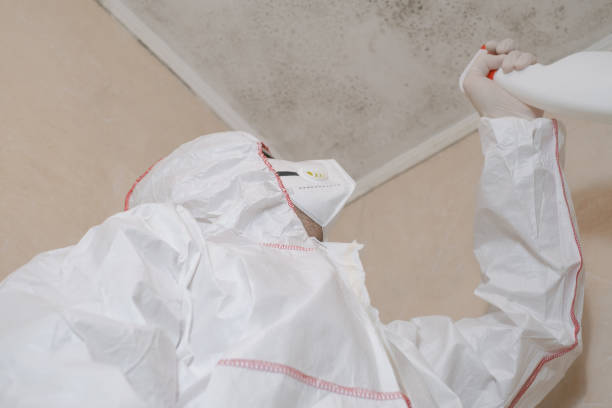 Best Professional Mold Removal  in Gardiner, ME