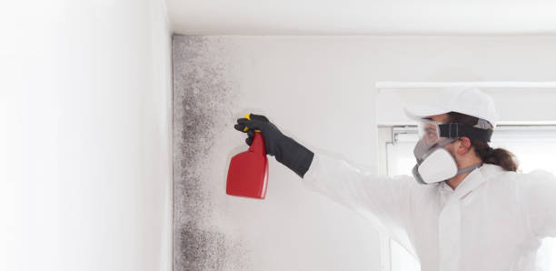 Best Crawl Space Mold Removal  in Gardiner, ME